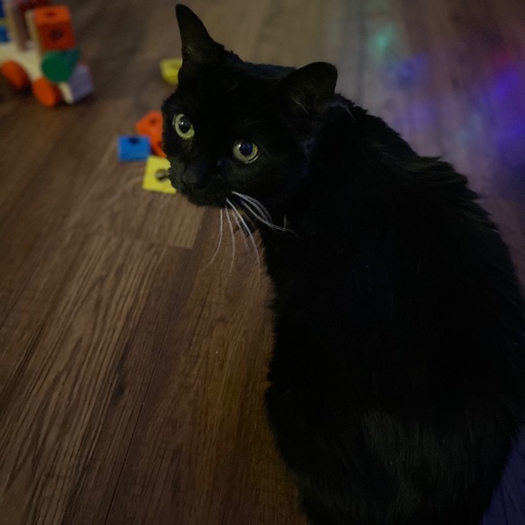 Meet your Posher, Sarah - Picture 1 of 1